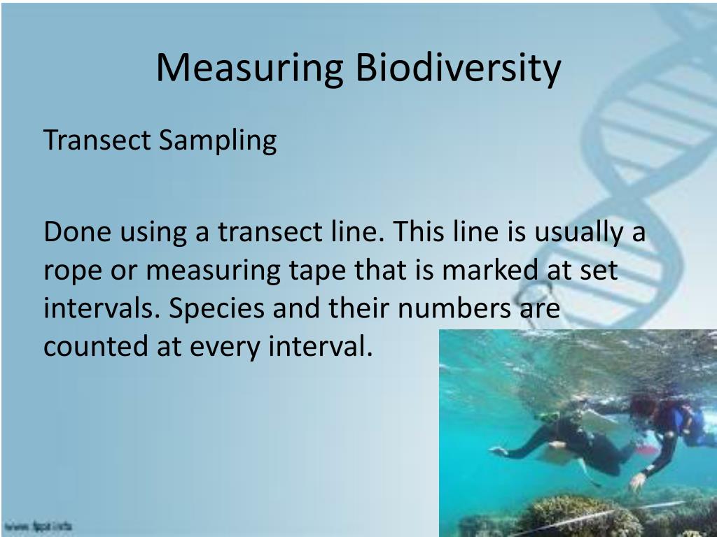 PPT - Biodiversity PowerPoint Presentation, Free Download - ID:1904646