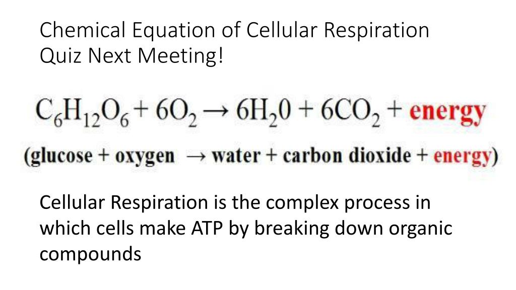 Write The Chemical Equation For Aerobic Cellular Respiration Tessshebaylo