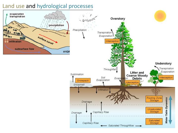 hydrological processes hydrological processes