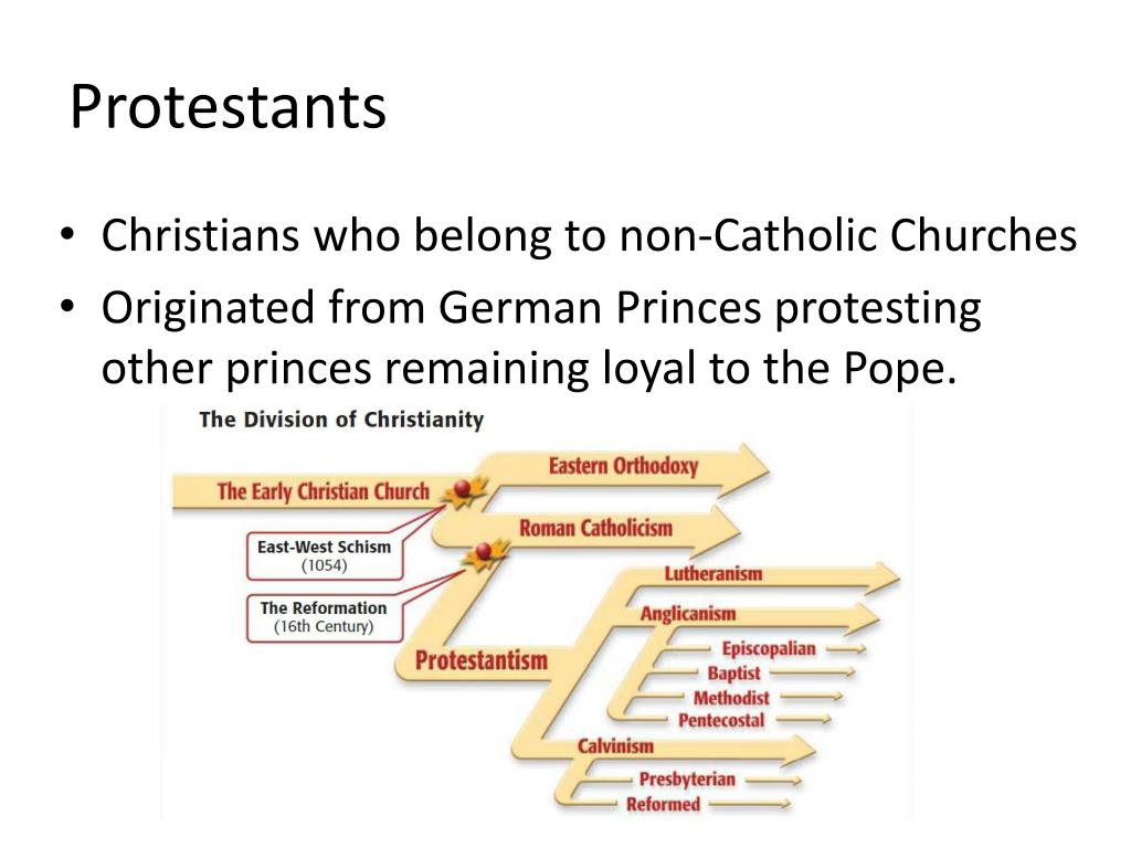 Calvinism Vs Catholicism Chart