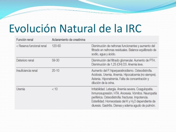 PPT - Fisiopatología de la Insuficiencia Renal PowerPoint Presentation ...