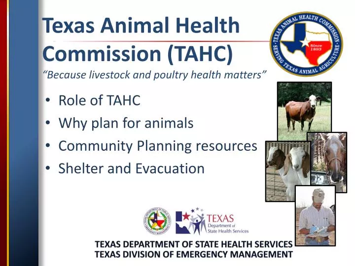 PPT - Texas Animal Health Commission (TAHC) “Because livestock and poultry  health matters” PowerPoint Presentation - ID:1907166