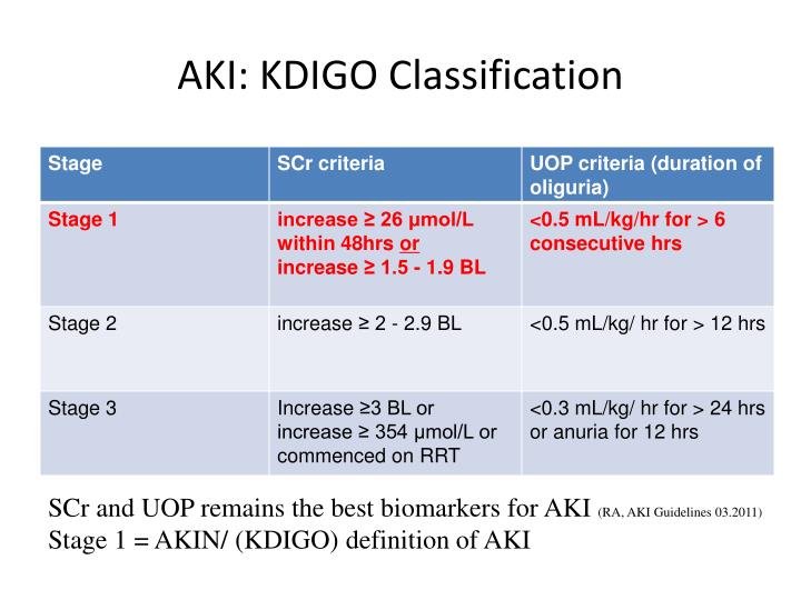 PPT Acute kidney injury PowerPoint Presentation ID1908028