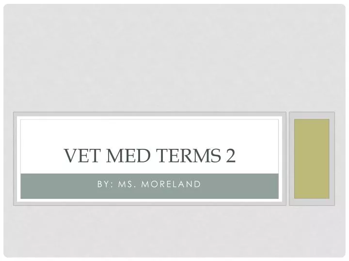 ppt-vet-med-terms-2-powerpoint-presentation-free-download-id-1908038