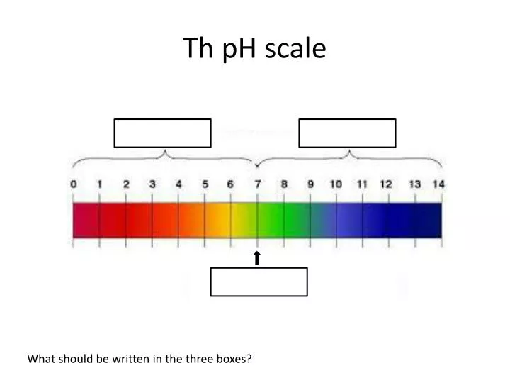 th ph scale n.