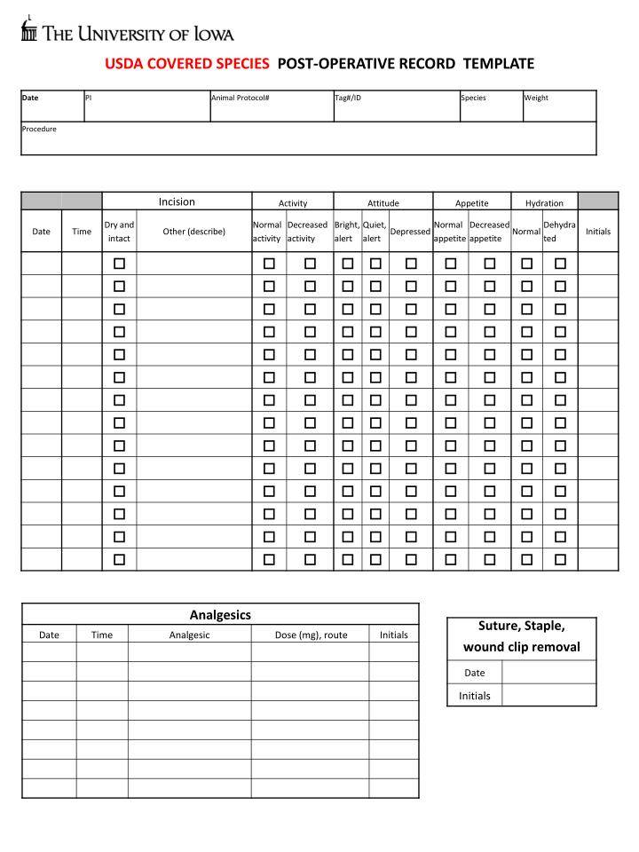 Anesthesia Forms Graphium Health Anesthesia Forms Graphium Health
