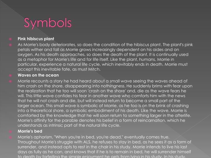 symbols in tuesdays with morrie