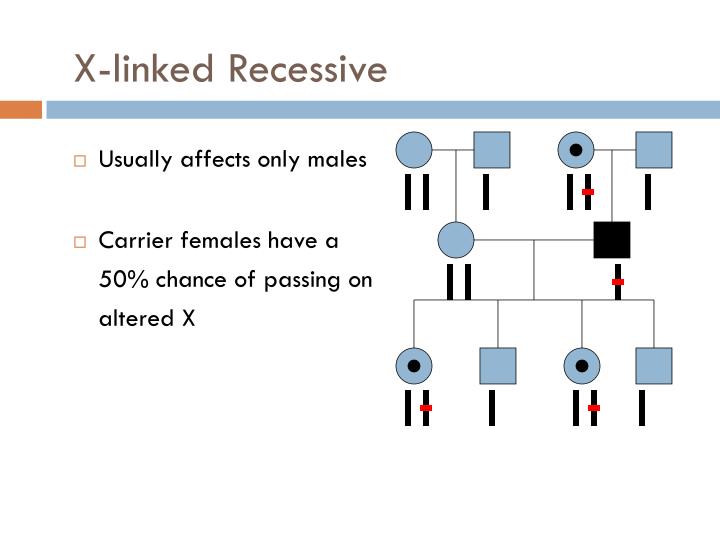 x linked recessive x linked recessive