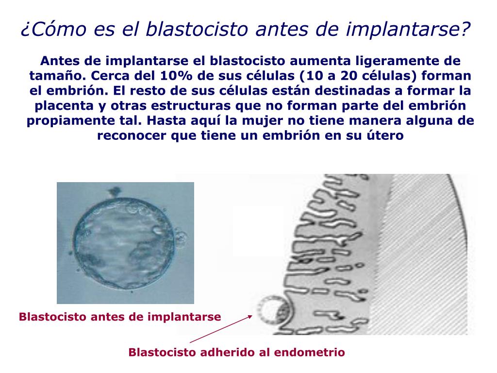 PPT - NOCIONES BÁSICAS SOBRE LA GENERACIÓN DE UN NUEVO PowerPoint ...
