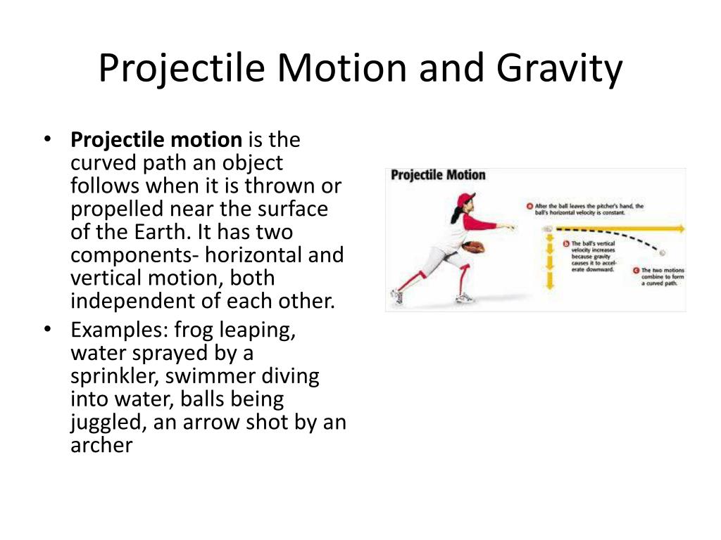 PPT - Forces and Motion PowerPoint Presentation, free download - ID:1915504