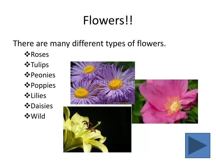 presentation about flowers