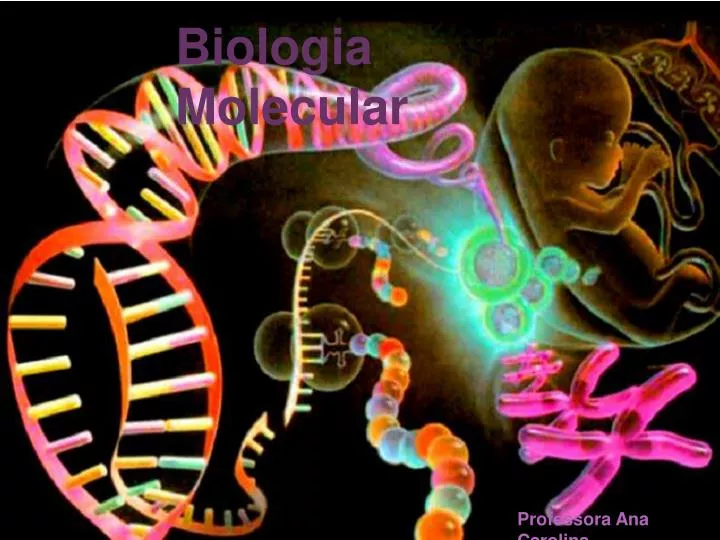 PPT Biologia Molecular PowerPoint Presentation Free Download ID 