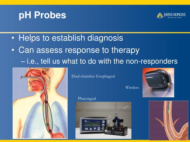 PPT Laryngopharyngeal (LPR) Reflux & GERD PowerPoint Presentation