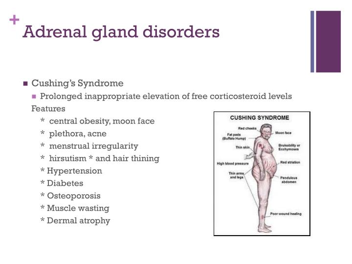 symptoms of adrenal gland problems symptoms of adrenal gland problems