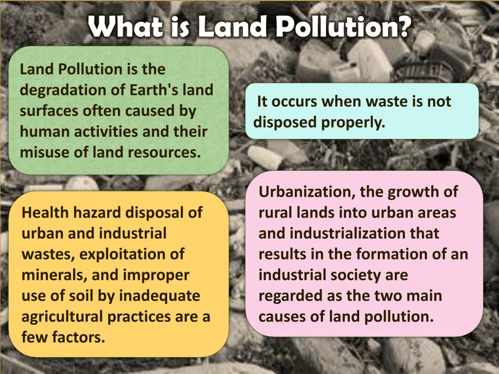 introduction of land pollution essay