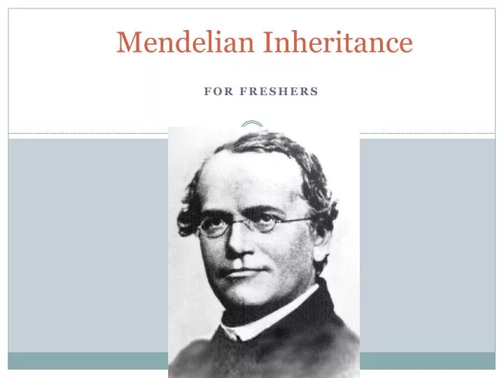 mendelian inheritance n.