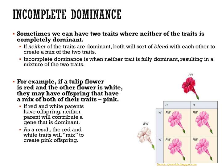 what does incomplete dominance mean example