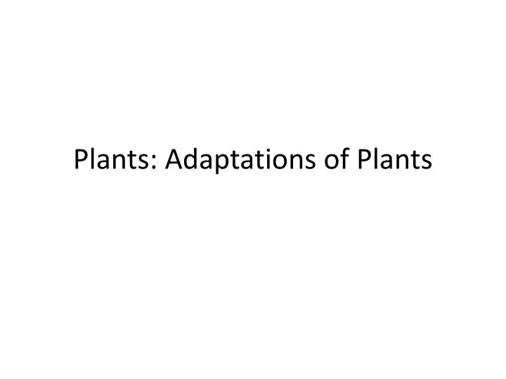 plants adaptations of plants n.