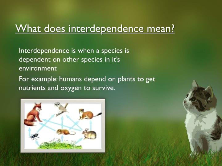 PPT PBL PowerPoint Presentation ID1917598