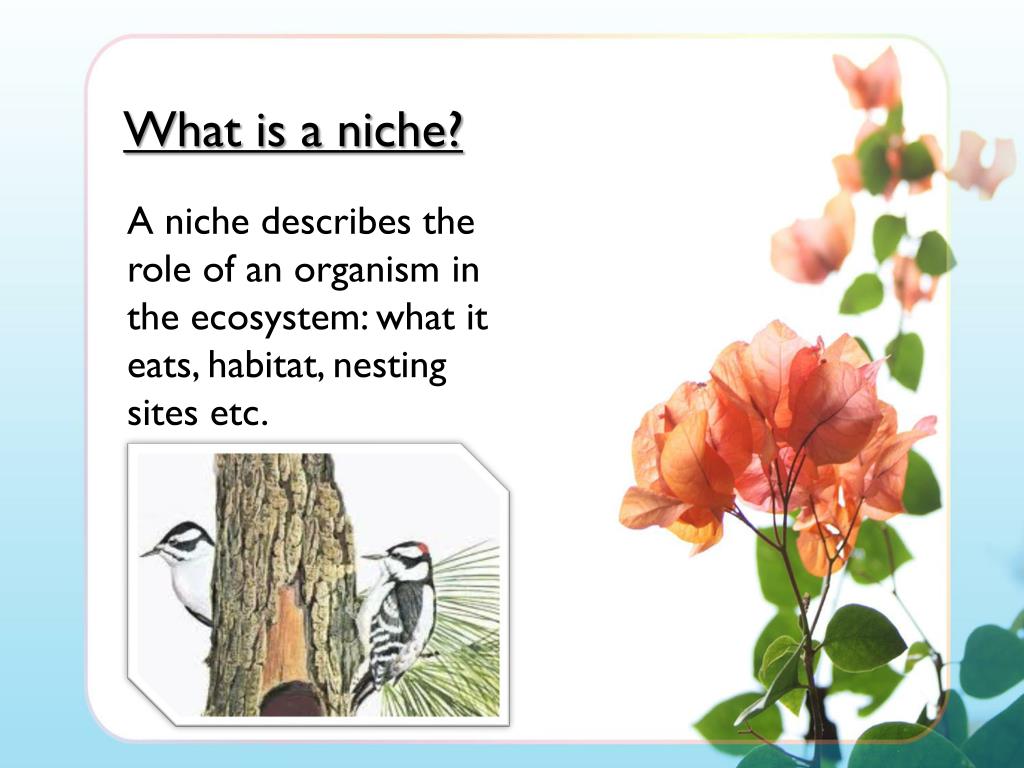 PPT PBL PowerPoint Presentation, free download ID1917598