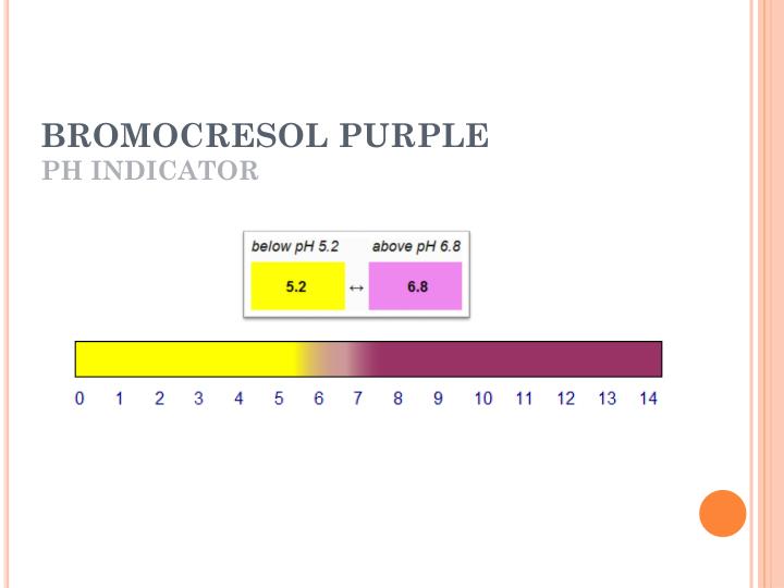 PPT SINGLE MEDIA / MULTIPLE TESTS PowerPoint Presentation ID1917790