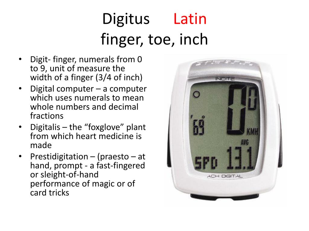 Word of the Day: Dactylodeiktous From the Greek for finger and