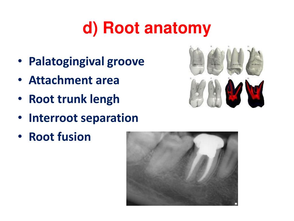 PPT Plaque control for the prevention of oral diseases PowerPoint