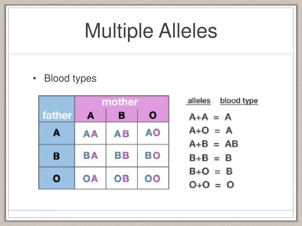 ppt-chapter-16-2-genetics-since-mendel-powerpoint-presentation-free