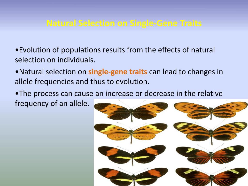 ppt-evolution-of-populations-powerpoint-presentation-free-download-id-1918175