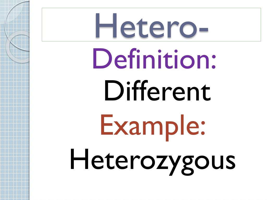 definition of hetero biography