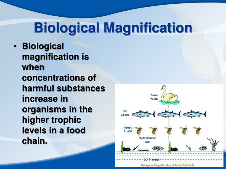 PPT Humans in the Biosphere Chapter 6 PowerPoint Presentation ID1920635