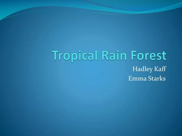 tropical rain forest n.