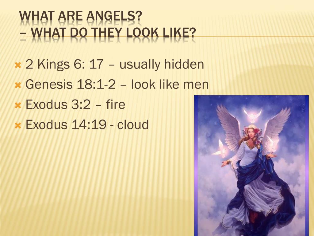 PPT - Angels PowerPoint Presentation, free download - ID:1921387