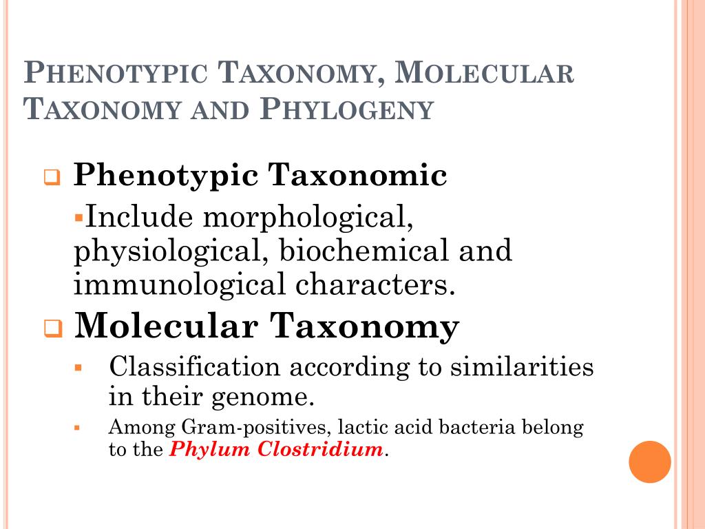 PPT - Lactic Acid Bacteria PowerPoint Presentation, free download - ID