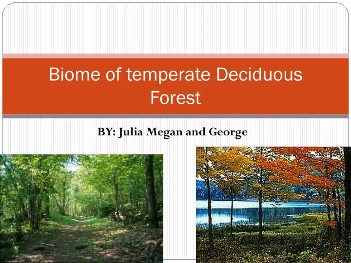 biome of temperate deciduous forest n.