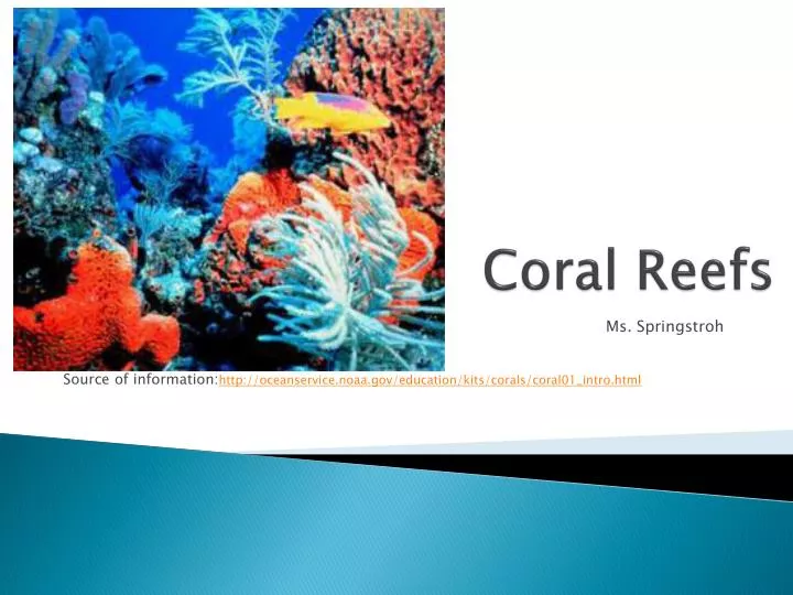 coral reefs n.