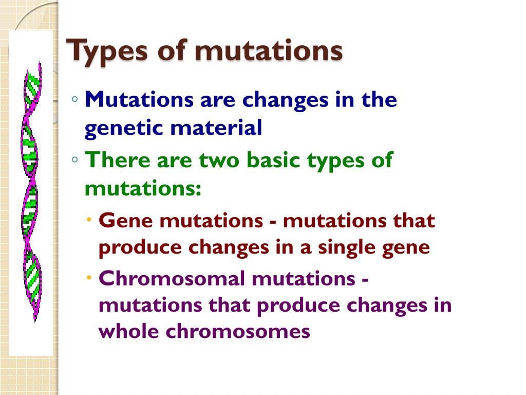 Types Of Gene Mutation Difference Between Gene Mutation And
