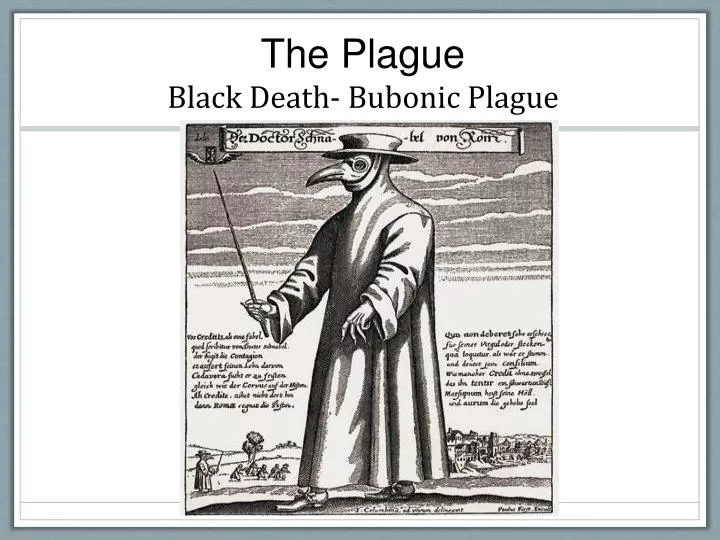 the plague black death bubonic plague n.