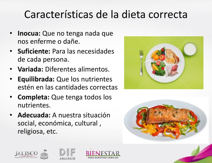PPT CONCEPTOS BÁSICOS DE NUTRICIÓN, PLATO DEL BIEN COMER