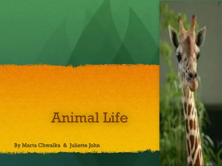 PPT - Animal Life PowerPoint Presentation, free download - ID:1925269 PPT - Animal Life PowerPoint Presentation, free download - ID:1925269