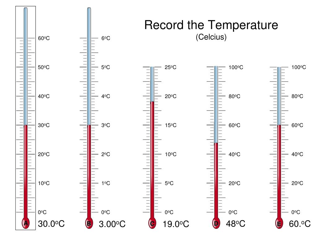 PPT - Measurement, sigfigs , and Scientific Notation PowerPoint ...