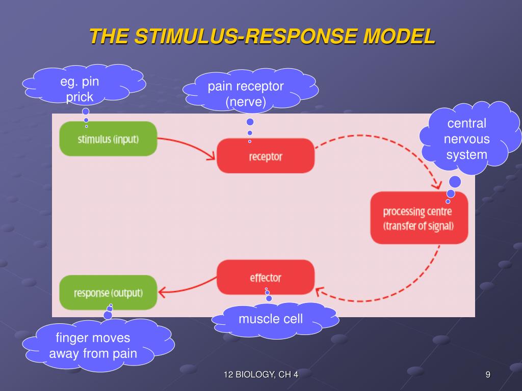 PPT BIOLOGY UNIT 3 PowerPoint Presentation, free download ID1926495