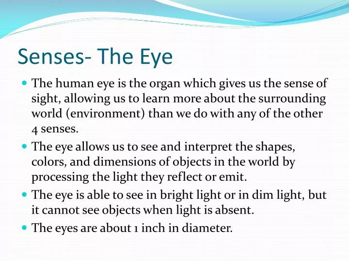 PPT - Senses- The Eye PowerPoint Presentation, free download - ID:1927068