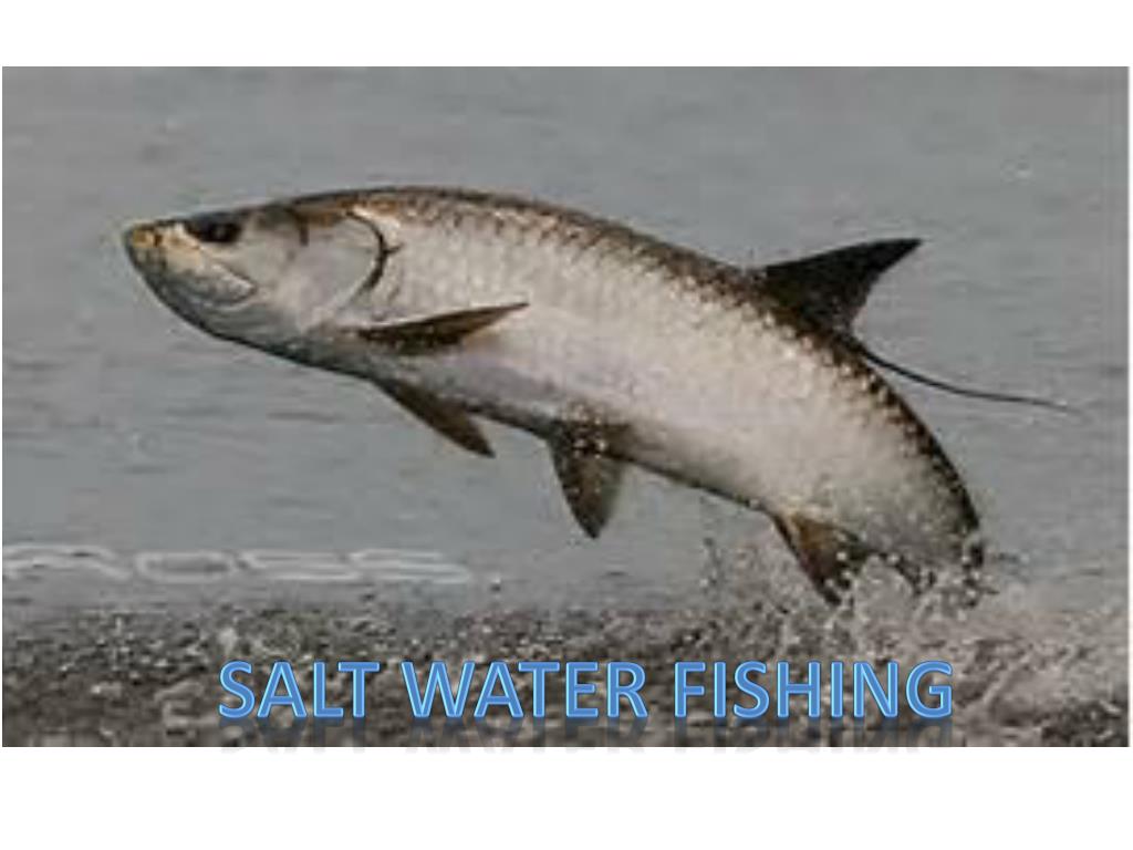 PPT - SALT WATER FISHING PowerPoint Presentation, free download