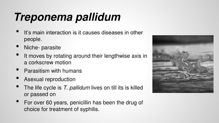 Hyperpoom Infection PPT - Eubacteria PowerPoint Presentation - ID:1927388