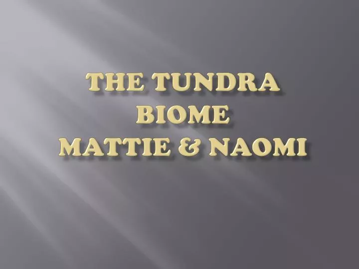 the tundra biome mattie naomi n.