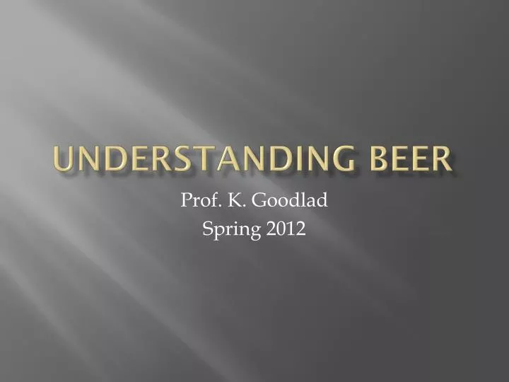 understanding beer n.