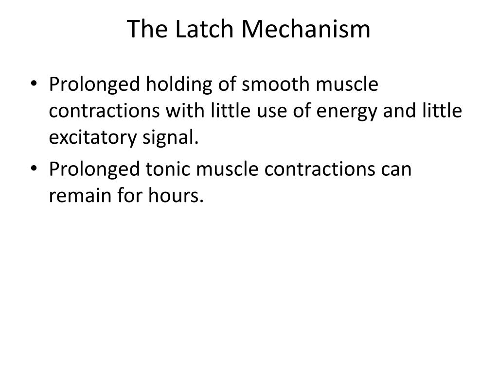 PPT Contraction and Excitation of Smooth Muscles Arsalan Yousuf PowerPoint Presentation ID