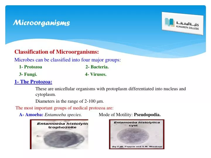 PPT - Microorganisms PowerPoint Presentation, free download - ID:1928032