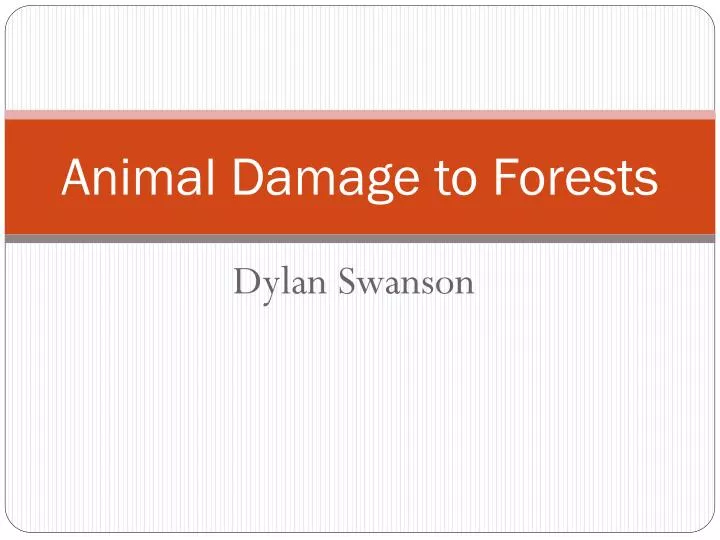 PPT Animal Damage to Forests PowerPoint Presentation, free download